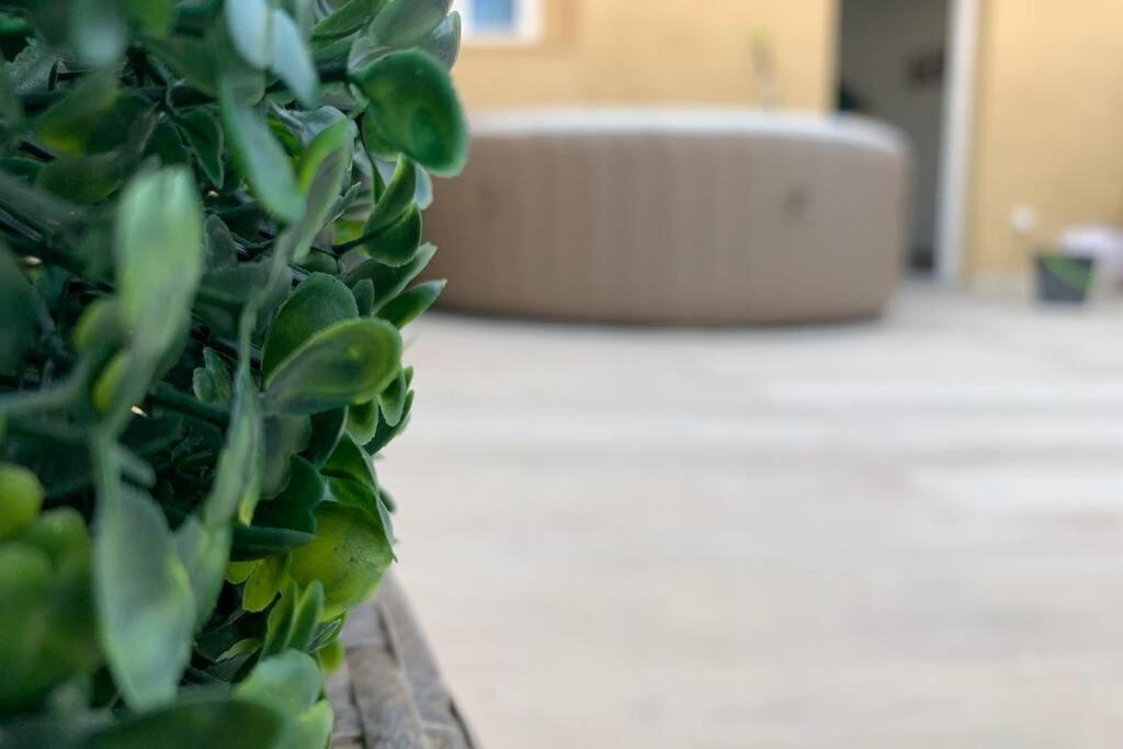 Apartmán Casa Del Arbol En El Delta Del Ebro Deltebre Exteriér fotografie